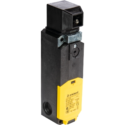 Safety Switch SIN 1130 AC/DC 24V  | R1.310.1130.0