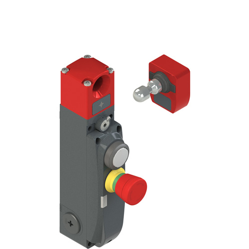 Pizzato NG 2D1D31AS-F30