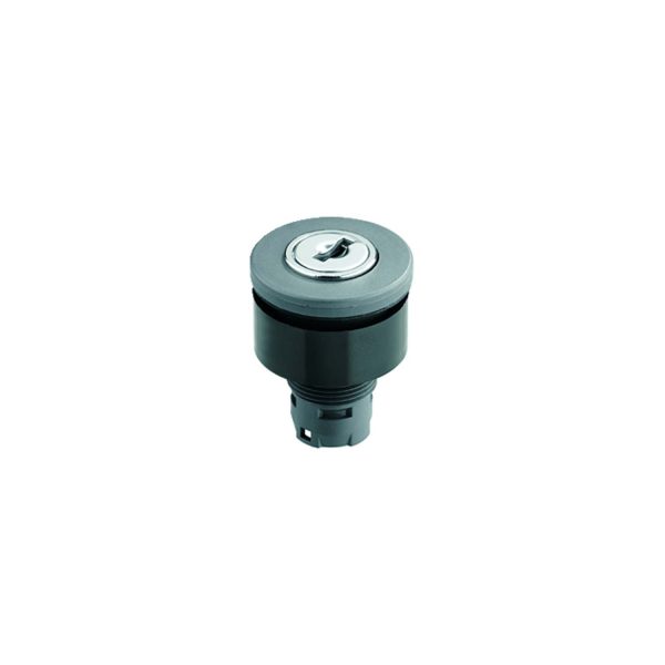 Schlegel RXJSSA12E Key Actuator (RX-JUWEL) Maintained 2 x 90 Degrees  22.3 mm Round RXJSSA12E