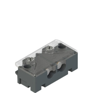 DS AE1VA Door switches with internal contacts