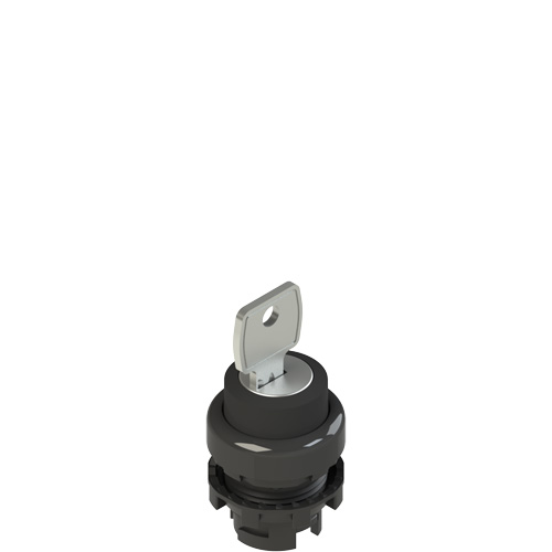 E2_1SCxxxx11xx_500.jpg E2 1SC3LCE11AA Key selector