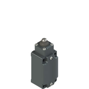 FR E110-M2 Position switch with long piston plunger