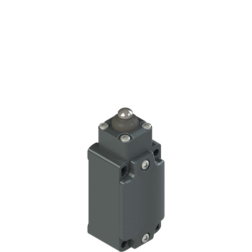 FD_x10_500.jpg FR E110-M2 Position switch with long piston plunger