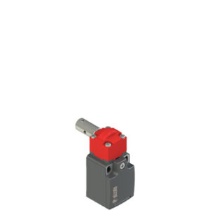 FR 2196 Safety switch for hinged doors