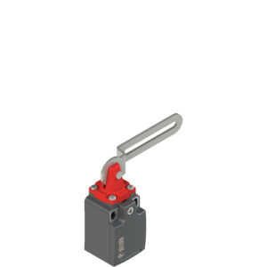 FR 34C1 Safety switch with slotted hole lever