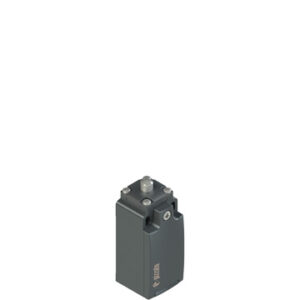 FR 2012 Position switch with threaded piston plunger