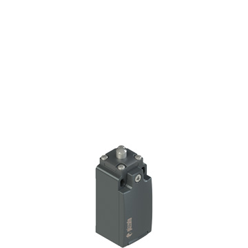 FM_x01_360.jpg FR 2012 Position switch with threaded piston plunger