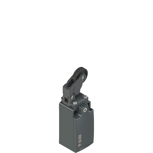 FM_x07_500.jpg FR 207-M2 Position switch with adjustable one-way roller