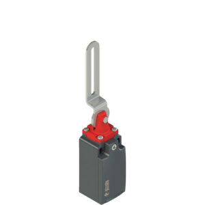 FR 9C2 Safety switch with slotted hole lever