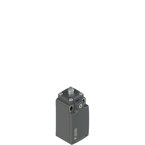 FR_x01_500.jpg FR 501-V9 Position switch with plunger