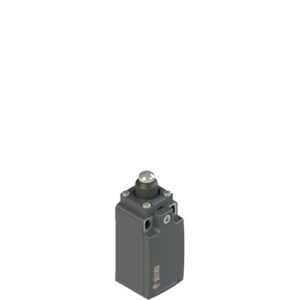 FR 608 Position switch with piston plunger