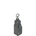 FR 573 Stable position switch for rope actuation