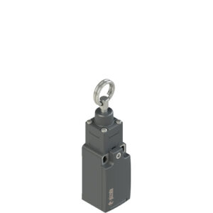 FR 1173 Position switch