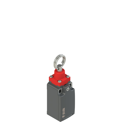 FR_x74_500.jpg FR 874-M2 Rope safety switch without reset for simple stop