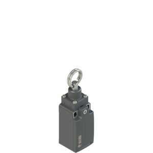 FR 976-M2 Position switch for rope actuation