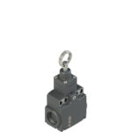 FX 1173-M2 Stable position switch for rope actuation