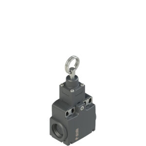 FX 1173-M2 Stable position switch for rope actuation