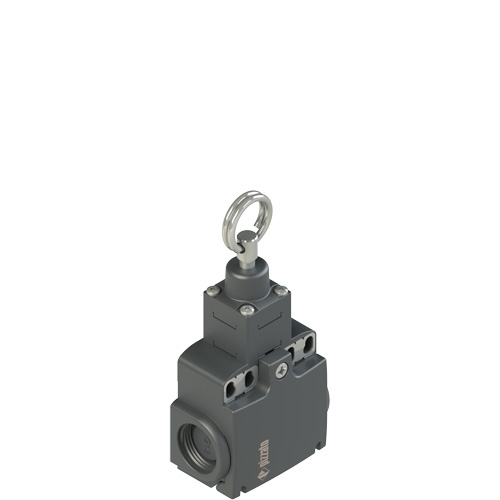 FX_x73_500.jpg FX 1173-M2 Stable position switch for rope actuation