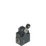 FR 754 Position switch with roller lever