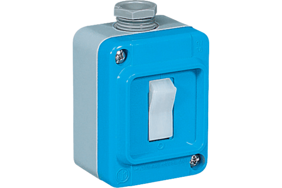 P202262 TAIS MIGNON SWITCH IN WALL-MOUNTING ENCLOSURE IN THERMOSETTING (GRP)