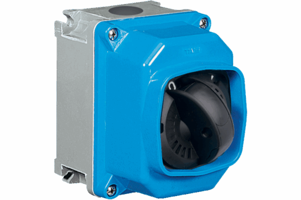 P292101_MAIN_png_900_600_contain_70.png P292103 CAM-TAIS ISOLATOR SWITCH IN THERMOSETTING GRP FOR WALL MOUNTING 4X16A