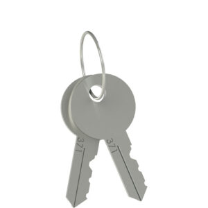 VF KLB300 Set of two locking keys
