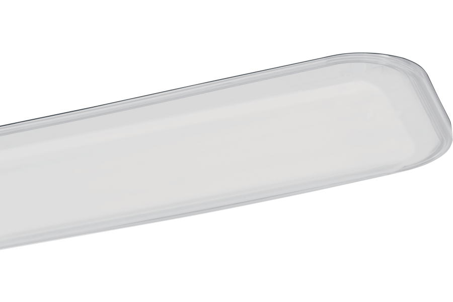 P820022 RINO TRANSPARENT DIFFUSER FOR LIGHTING FIXTURE IN STAINLESS STEEL 18W IP66