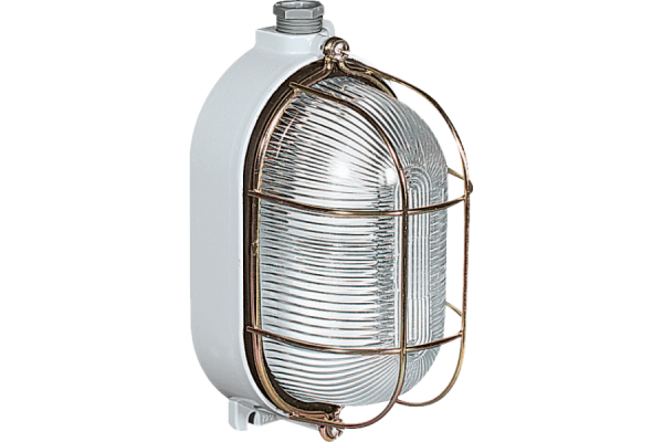 P831072_MAIN_png_900_600_contain_70.png P831192 RINO OVAL LIGHTING FIXTURE IN ALUMINIUM 1 LAMPHOLDER E27 INLET 2XM20 CAGE
