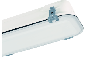 P881562 BULKHEAD RINO PAINTED INOX-OPALINE POLYCARBONATE DIFFUSER 2X24W