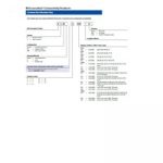 Euchner 002769E | BS19 : Connector