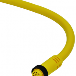 Euchner 102526E | C-MINF12-12X1
