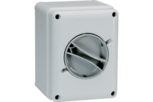 P209162 | CAM-SZ Isolator Switch Palazzoli