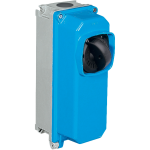 P290163 | CAM-TAIS Isolator Switch Palazzoli