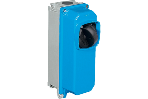 P290163 | CAM-TAIS Isolator Switch Palazzoli